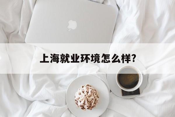 上海就业环境怎么样?